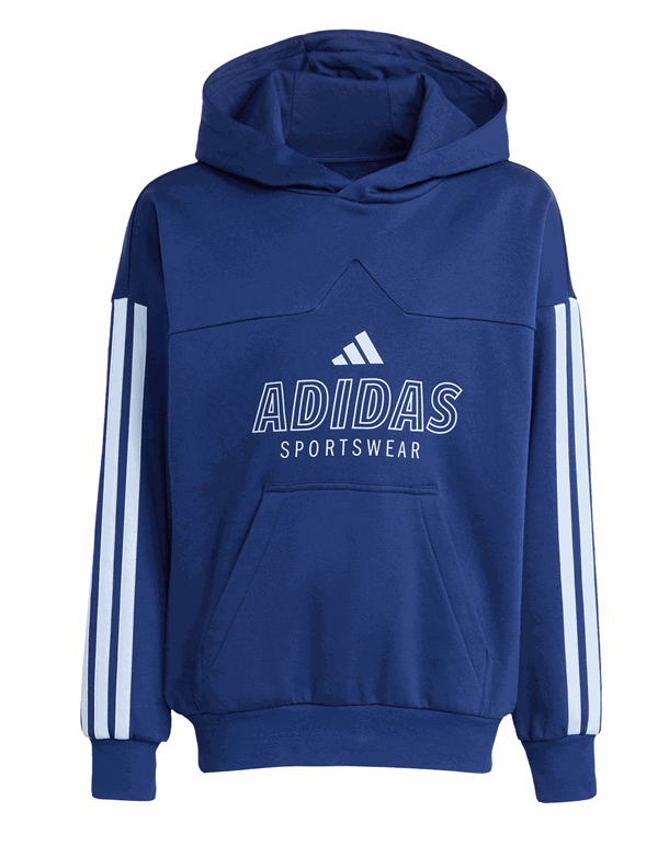 Adidas J Hot FL Hoodie Trøje Blå Børn