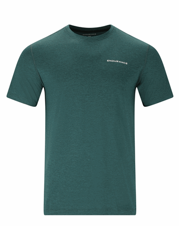 Endurance Abdon T-shirt Grøn Herre