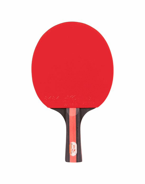 Double Fish CK-205 Bordtennisbat Black Unisex